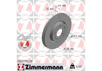 Disque de frein 250.5705.20 Zimmermann