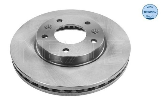 Disque de frein 28-15 521 0015 Meyle