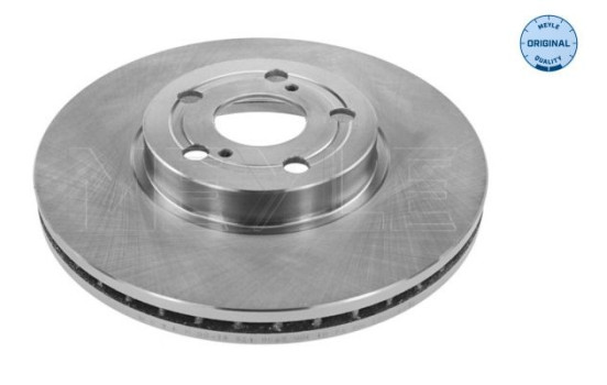 Disque de frein 30-15 521 0069 Meyle