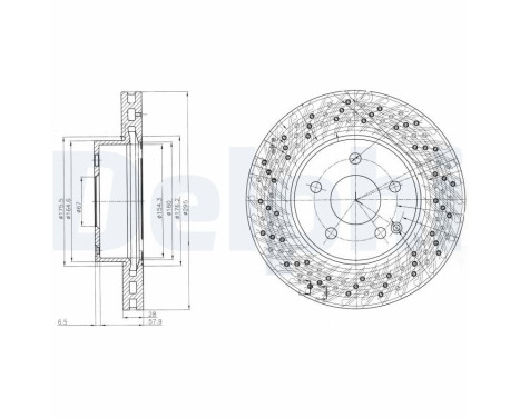 Disque de frein BG4142C Delphi