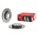 Disque de frein BREMBO XTRA LINE 08.8638.1X, Vignette 2
