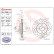 Disque de frein BREMBO XTRA LINE 09.7806.1X, Vignette 3