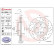 Disque de frein BREMBO XTRA LINE 09.8952.1X, Vignette 2