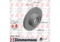 Disque de frein COAT Z 230.6270.20 Zimmermann
