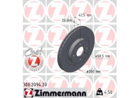 Disque de frein COAT Z 300.2094.20 Zimmermann