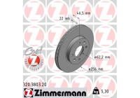 Disque de frein COAT Z 320.3803.20 Zimmermann
