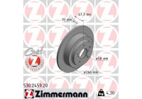 Disque de frein COAT Z 530.2459.20 Zimmermann