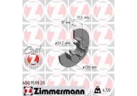 Disque de frein COAT Z 600.1599.20 Zimmermann
