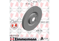Disque de frein COAT Z 610.3731.20 Zimmermann