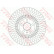 Disque de frein DF6216 TRW, Vignette 2