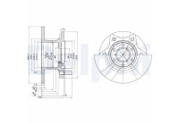 DISQUE DE FREIN UNITAIRE BG302 Delphi