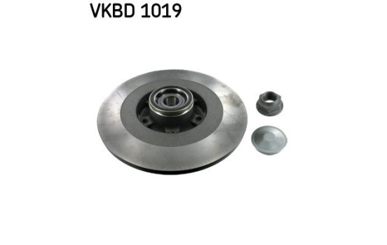 Disque de frein VKBD 1019 SKF