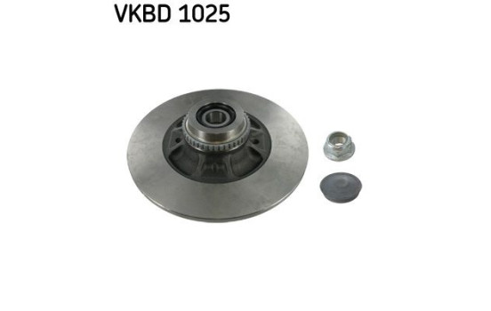 Disque de frein VKBD 1025 SKF