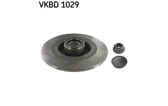 Disque de frein VKBD 1029 SKF