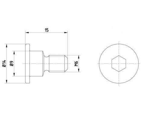 Vis, disque de frein