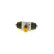 Cylindre de roue Audi WC560 Bosch
