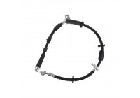 Flexible de frein 172356 FEBI