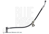 flexible de frein ADBP530029 Blue Print