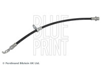 flexible de frein ADBP530077 Blue Print
