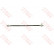 Flexible de frein PHA391 TRW