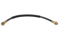 Flexible de frein SL 4820 ABS
