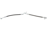 Flexible de frein SL 6135 ABS