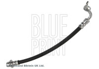 Flexible de frein ADBP530002 Blue Print