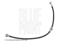 flexible de frein ADBP530033 Blue Print