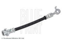 Flexible de frein ADBP530051 Blue Print