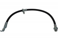 Flexible de frein BBH-9018 Kavo parts