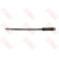 Flexible de frein PHB185 TRW
