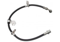 Flexible de frein SL 4151 ABS