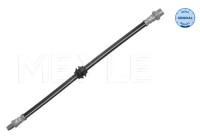 Flexible de frein