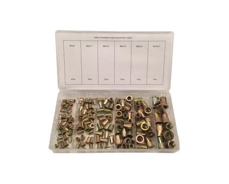 Assortment Blind Rivet Nuts Steel 150 pcs