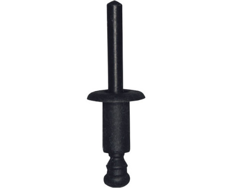 Blind rivet OEM: 5111194278 - 5 pieces
