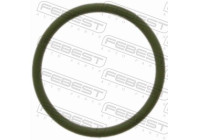 O-ring repair kit