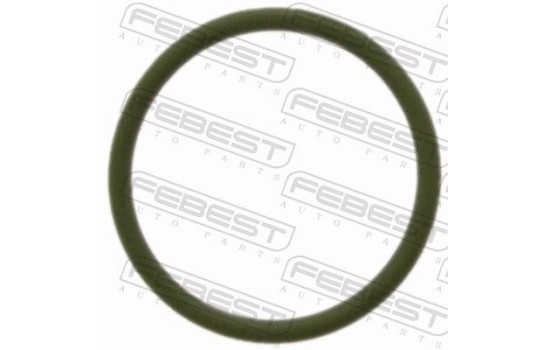 O-ring repair kit