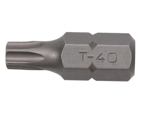 Bit 10mm, 30mmL T40
