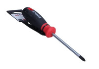 Rooks Screwdriver PZ2 x 100mm