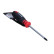 Rooks Screwdriver PZ2 x 100mm