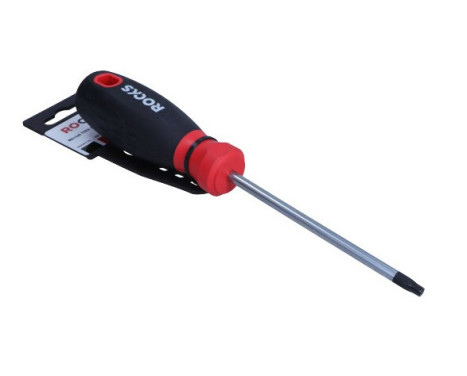 Rooks Torx screwdriver T30 x 100mm