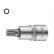 Force Bit Socket 1/2" Multi-tooth M12