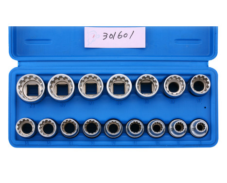 All-drive socket sets 1/2 ", 16 pcs.