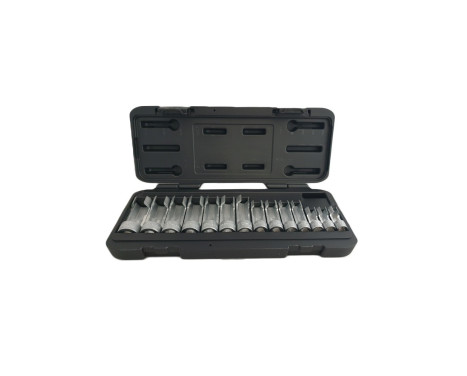 WT-8652 Sensor caps key set for injector lines 14 pieces