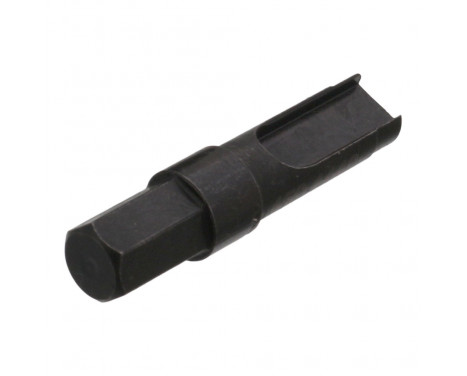 Socket, oil drain plug