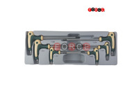 6pc Star & Star tamperproof grip key set