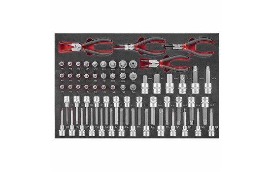 Force Bit Socket and Circlip Pliers Set 64-piece (EVA)