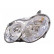 Faro izquierdo con intermitente 2 X H7 3049961 Van Wezel