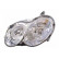 Faro izquierdo con intermitente 2 X H7 3049961 Van Wezel, Miniatura 2