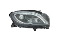 Piezas prioritarias para faros delanteros 1692086 Diederichs